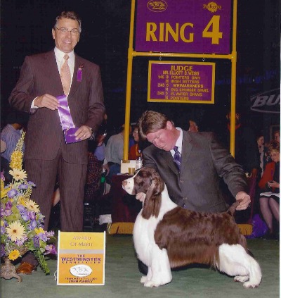 Connor at Westminster Kennel Club